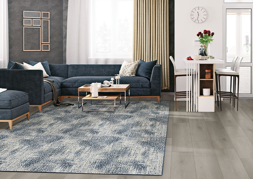 blue and white pattern area rug in living room